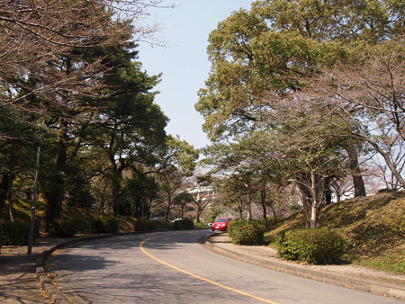 P3231498