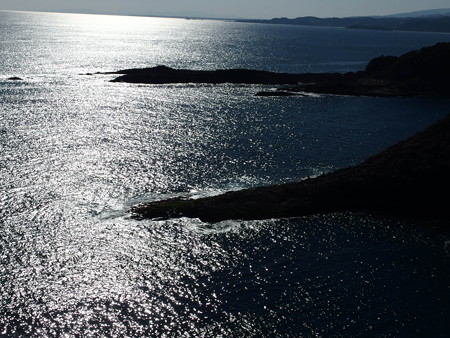 PC318261