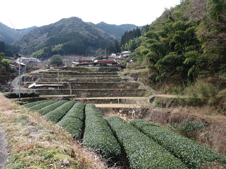 P1028280