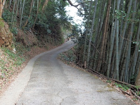 P1028286