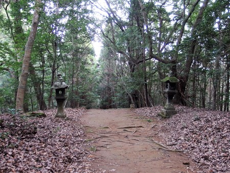 P1028330