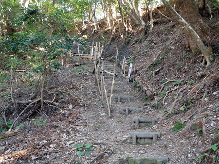 P1150058