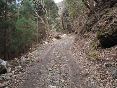P3080407