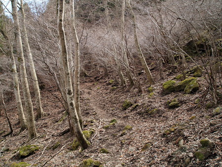 P3080410