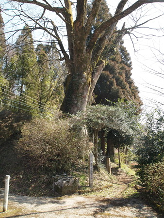 P3120498
