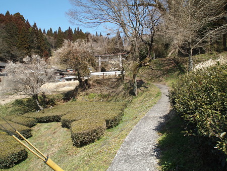 P3120503