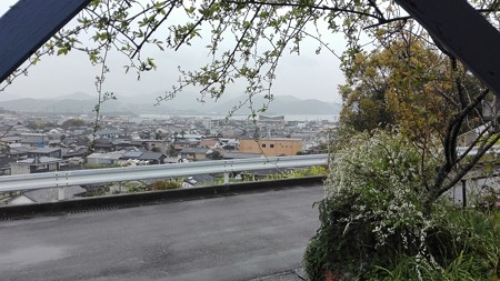 IMG_20170406_153548