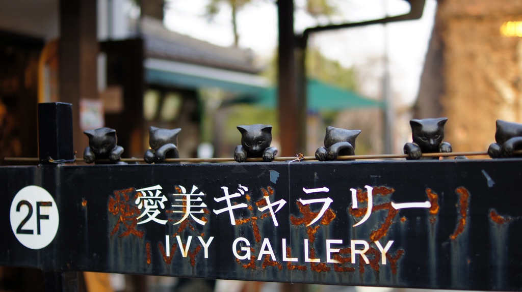 写真: 5