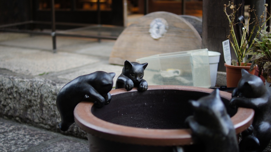 写真: 6