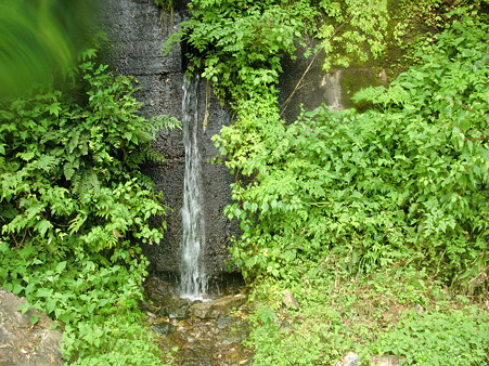 CIMG0363 CIMG0363