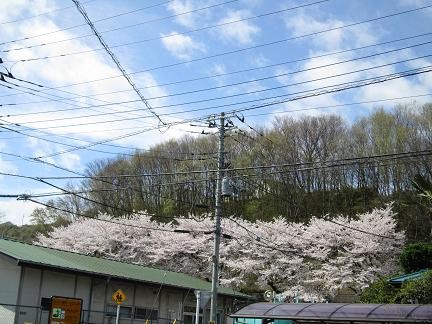 遠くから見ると