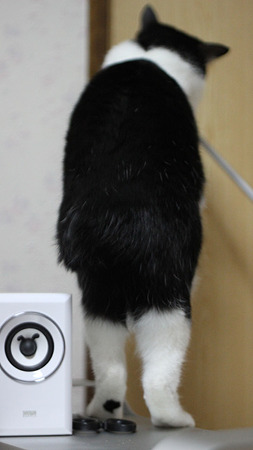 おちり5
