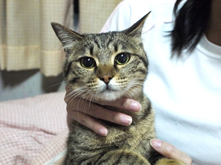ナツさんと1
