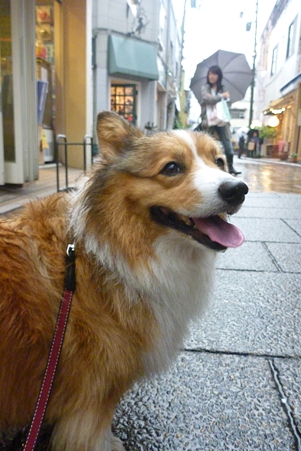 P1020373