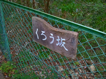 2011-07-17 15.57.54