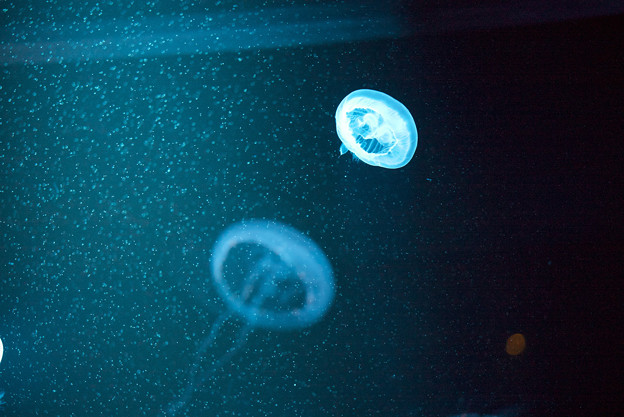 L1003049_1
