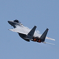 F-15J　ハイレートクライム_11-08-07_0001