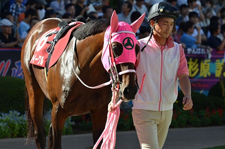 16 トウシンイーグル