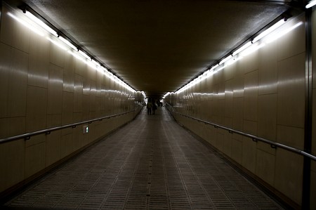 画像 310