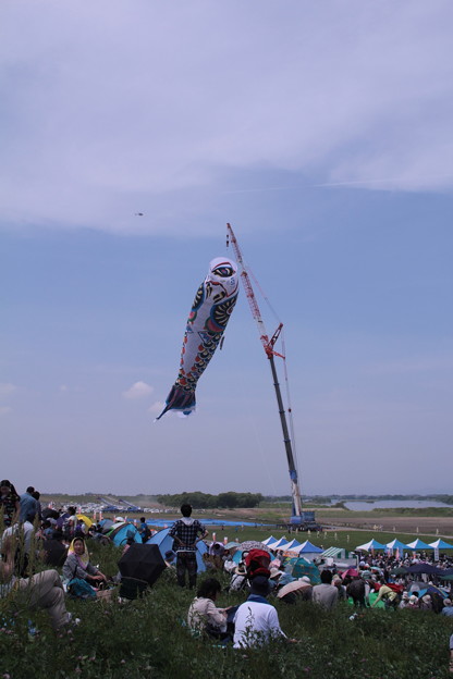 上がった!でかい!