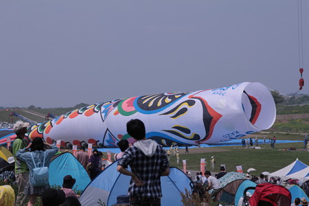 まないたの鯉