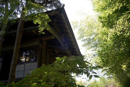 DSC00528