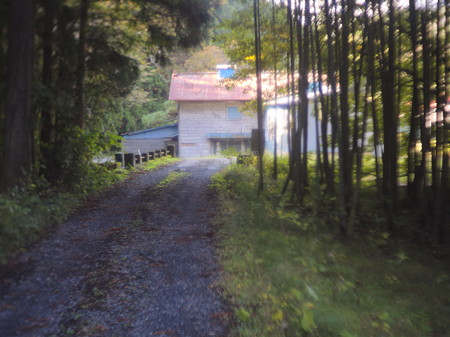 IMGP8632