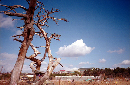 MC07（YASHICA ELECTRO 35 MC）