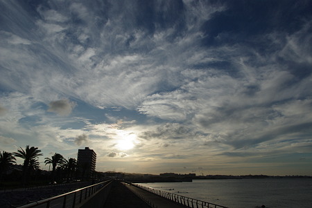 IMGP3253