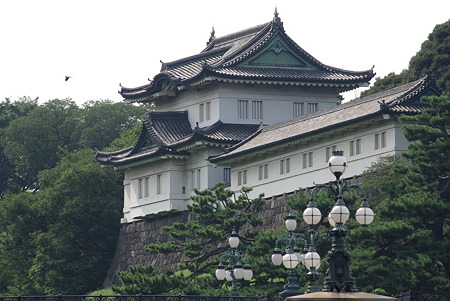 IMGP3672
