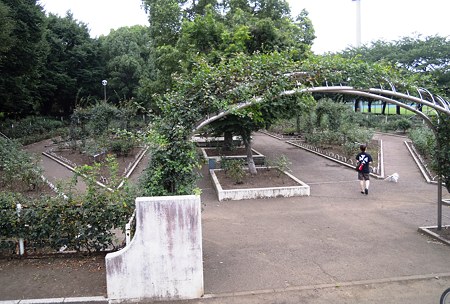 DSCN3462