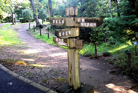 DSCN3618