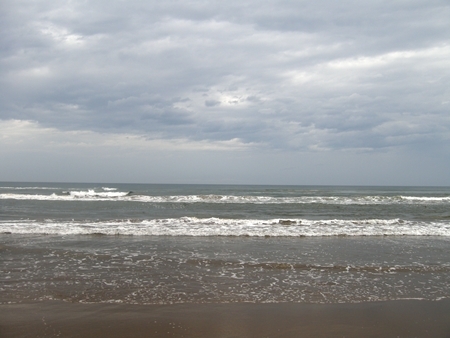 DSCN0746
