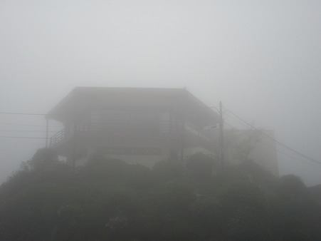 すっごい霧・・・