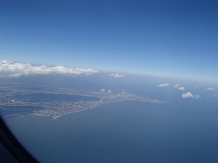 P3115164