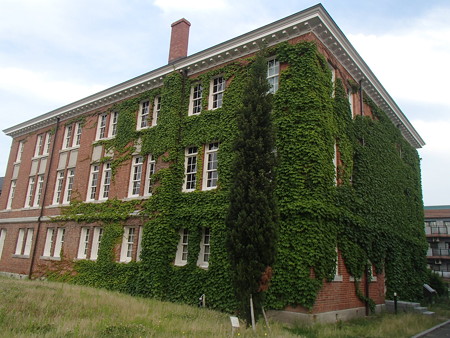 P5210676