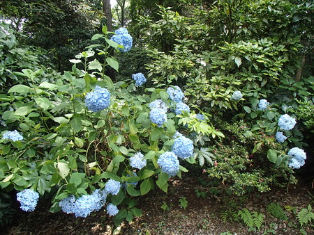 P6100763