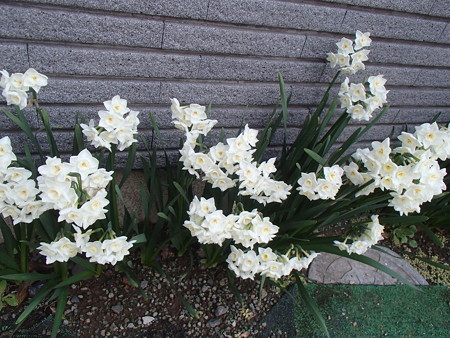 P3302448