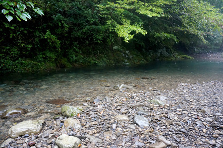 雨の渓流