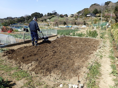 小さな菜園 3月中旬 畑を耕す 畝をつくる 暇人主婦の家庭菜園 楽天ブログ