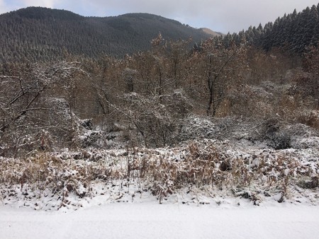 雪景色1