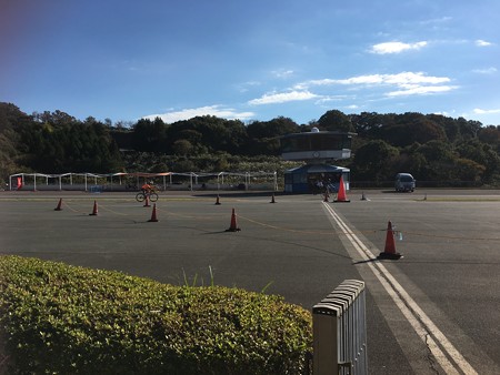 沢山の人達が走ってます