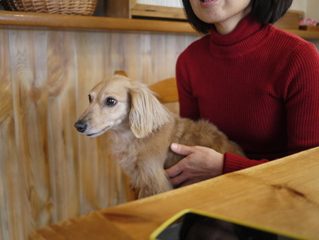 ビリちゃんはママのお膝が大好き