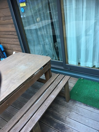 ジーーーッと(ぷんすか怒ってます)