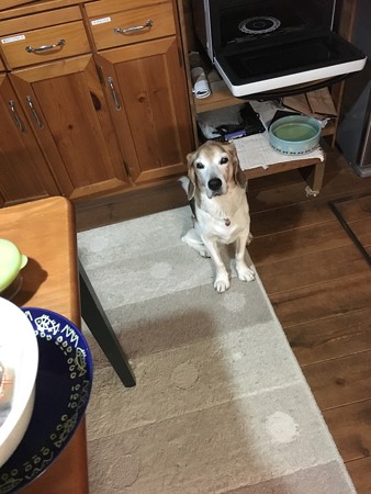 それよりご飯
