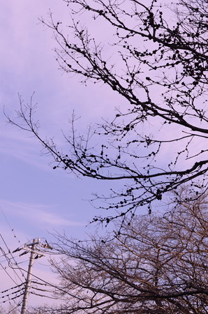空を撮ってみた