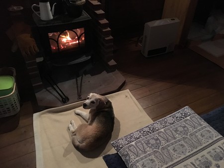 また寝てるの起こちてうるちゃいでちゅよ!