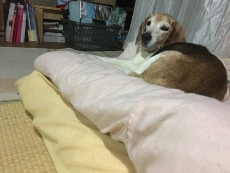 マリン良い子だね