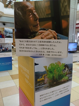 UNICEF
