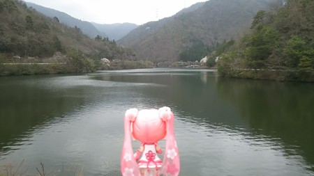 桜ミク:「これが伊自良湖ですか」
